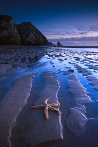 Frozen Bliss: A Glimpse..