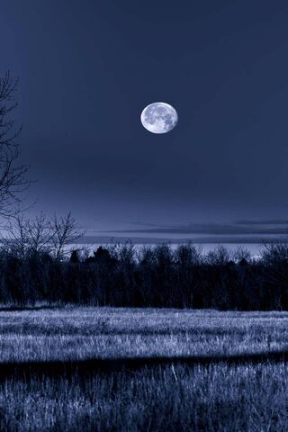 달빛의 밤