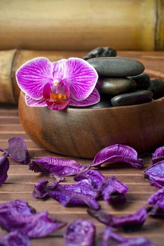 Tranquil Oasis: Your Escape to Serenity 🌿✨