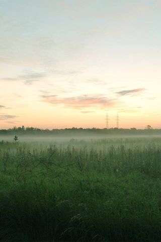 Serenity in Nature: A Breath of Fresh Air 🌿