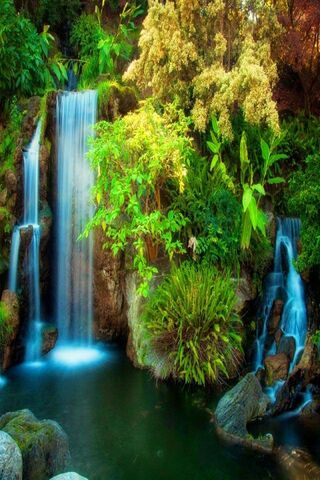Cachoeira da floresta