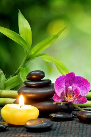 Tranquil Oasis: Your Escape to Serenity 🌿💆