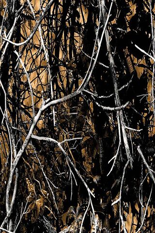Embrace the Flames: Wildfire Camo 2