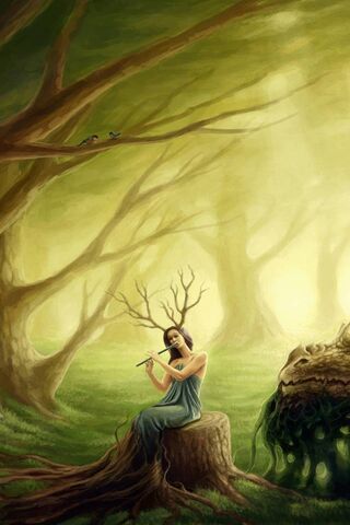 Whimsical Wonders of the Woodland 🌲✨
