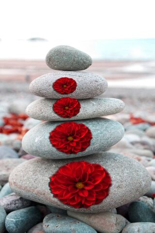 Stones and Flowers
