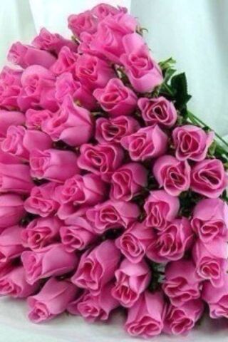 Whispers of Romance: Th..