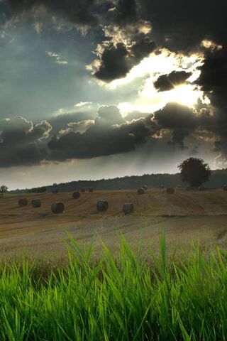 Farm Land Dark Cloud