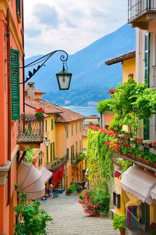 Discover the Charm of I..