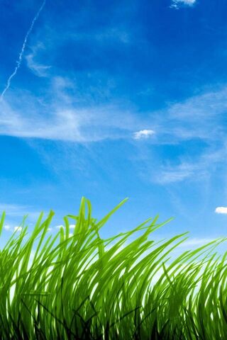 Blue Sky Green Grass