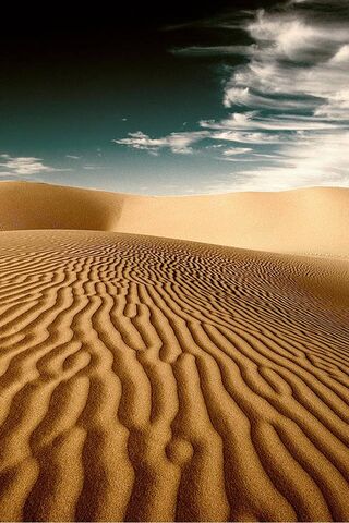 Sa mạc