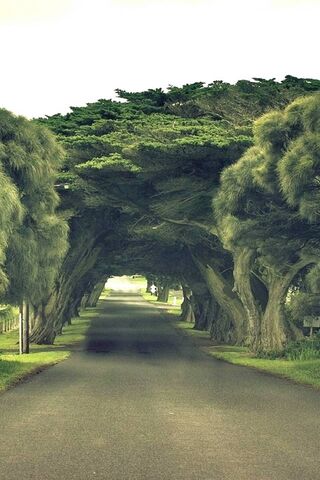 Embracing the Serenity ..