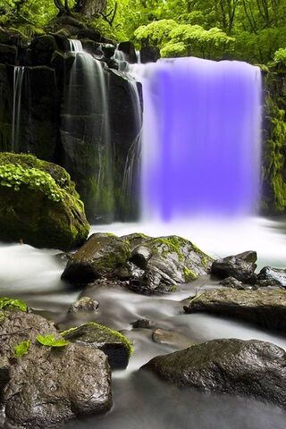 Majestic Cascade: Nature's Symphony 🌊🌿