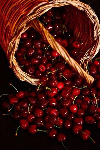 Delightful Summer Harve..