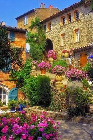 Blooming Joy: A Celebra..
