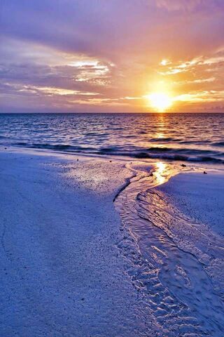 Golden Horizons: A Sunset at the Beach 🌅🏖️