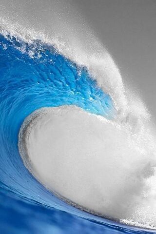 Rhythms of the Ocean: E..