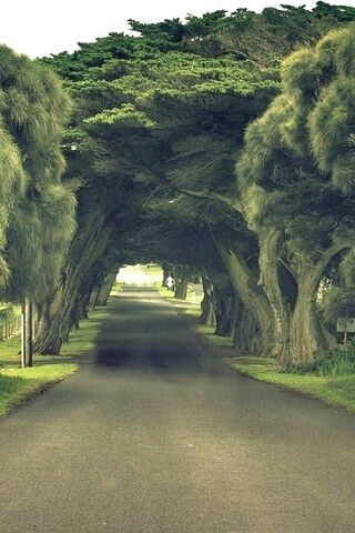 Embracing the Serenity ..