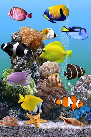 Marine Aquarium Wallpaper - Download to your mobile from PHONEKY