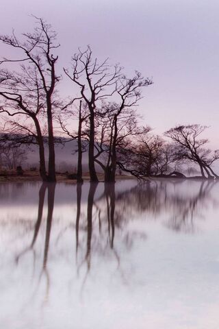 Nature's Mirror: A Tranquil Reflection