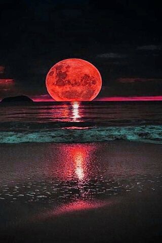 Mystical Moonlit Waves ..