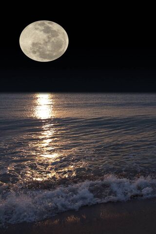 Mystical Moonlight: A N..