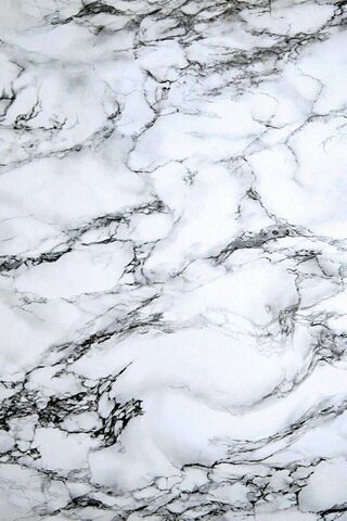 Elegance in Stone: The ..