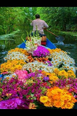 Journey of Love: A Floral Adventure 🌸🚣