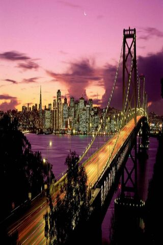 Discover the Charm of San Francisco 🌉✨
