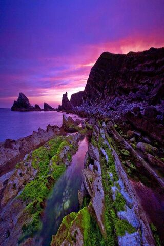 Purple Sunset Coast