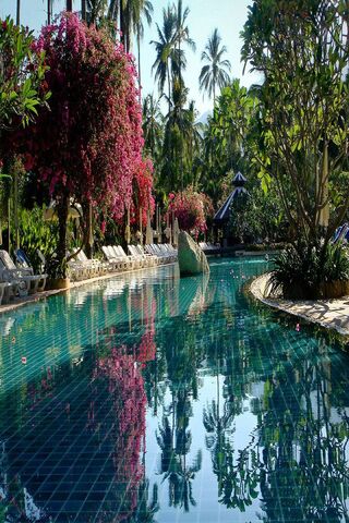 Serenity by the Water: ..