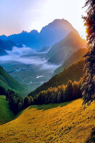 Golden Horizons: A Sunl..