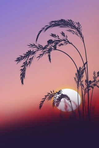 Whispers of Dusk 🌅