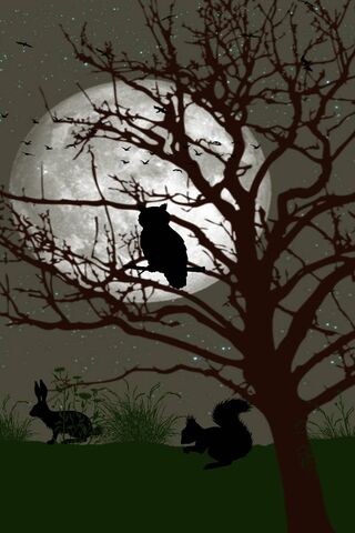 Burung hantu dalam bulan