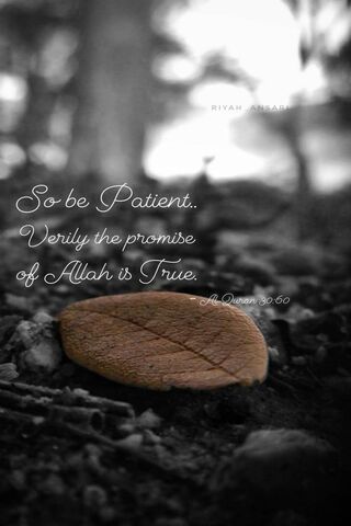 The Promise of Patience 🌿