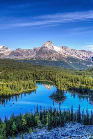 Into the Heart of the Wilderness 🌲🌄