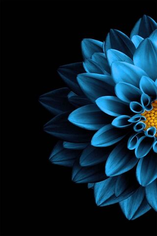 Mystical Blue Blossom 🌸✨