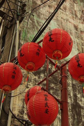 Illuminating Traditions: The Beauty of Chinese Lanterns 🎇🏮