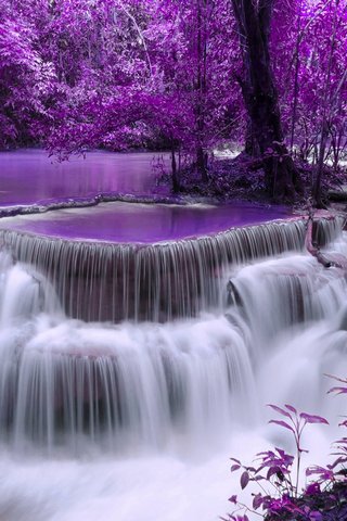 紫の滝