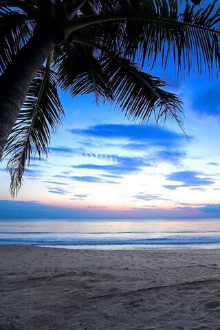 Awakening Paradise: A Tropical Dawn 🌅