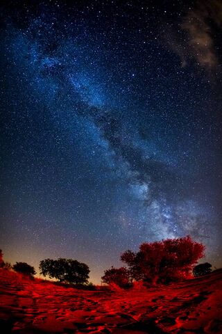 Starry Night