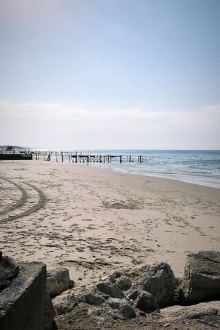 Serenity by the Shore: A 4K Escape 🌊🏖️