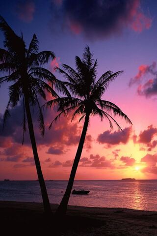 Golden Horizons: A Suns..