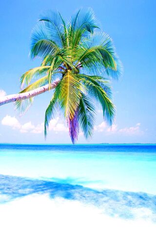 Phoneky Tropical Hd خلفيات
