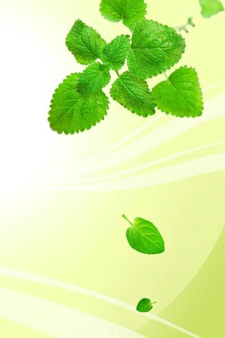 Whispers of Nature: The Beauty of Leaves 🍃
