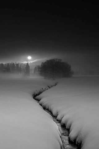 Nuit d'hiver