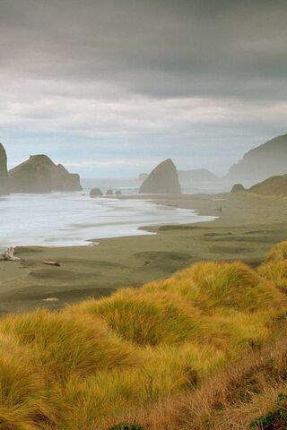 Breathtaking Horizons: A Niceview Experience 🌅