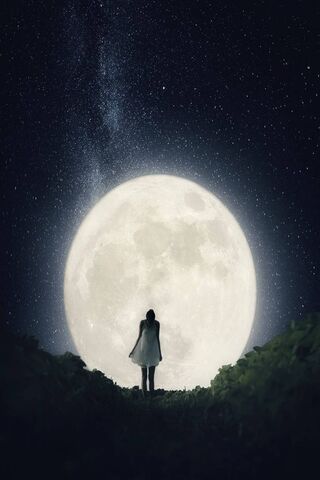 Embracing Solitude Unde..