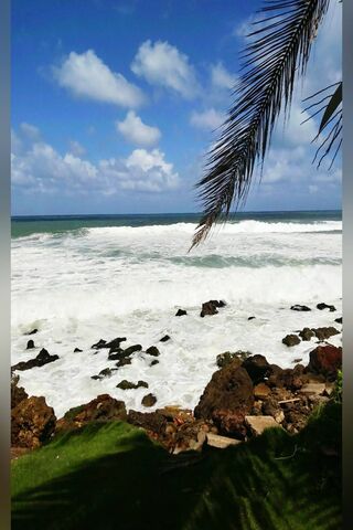 Arecibo Coast