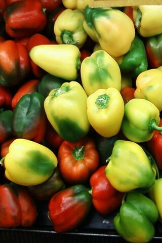 Hot Chillies