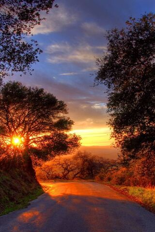 Golden Horizons: A Suns..